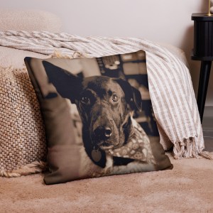 Premium Pillow