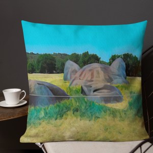 Premium Pillow