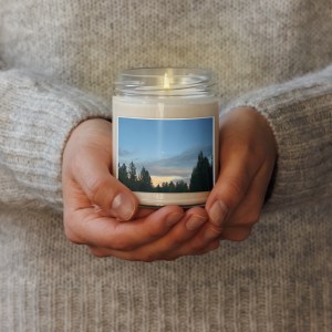 Scented soy candle