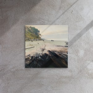 Thin canvas