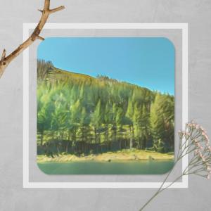 Cork-back coaster