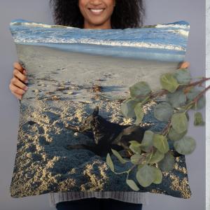 Basic Pillow