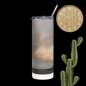 Stainless steel tumbler