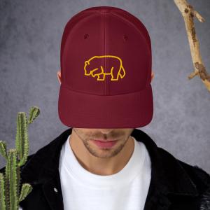 Trucker Cap