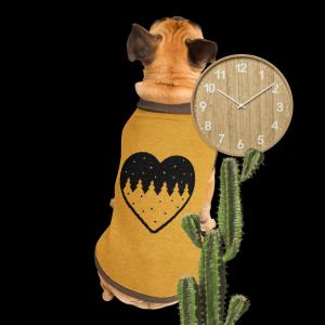 Knitted pet sweater