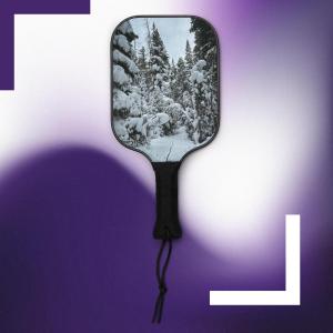 Pickleball paddle set