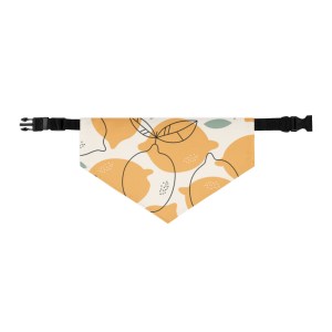 Pet bandana collar